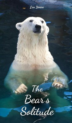 Cover The Bear's Solitude