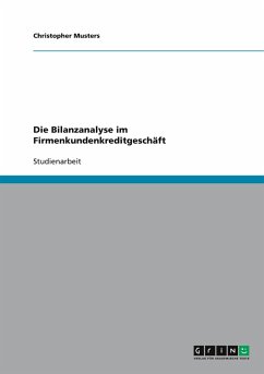 Die Bilanzanalyse im Firmenkundenkreditgeschäft