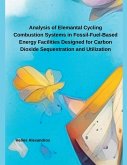 Analysis of Elemantal Cycling Combustion Systems in Fossil-Fuel-Based Energy Facilities Designed for Carbon Dioxide Sequestration and Utilization