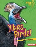 Yikes, Birds! Yikes, Birds!