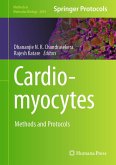 Cardiomyocytes (eBook, PDF)
