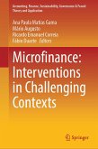 Microfinance: Interventions in Challenging Contexts (eBook, PDF)