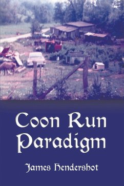 Cover Coon Run Paradigm (eBook, ePUB)