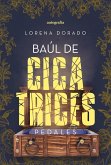 Baúl de cicatrices: Pedales (eBook, ePUB)