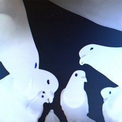 Friedrich - Stimming