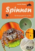 Spinnen Spinnen