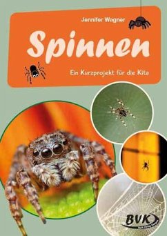 Cover Spinnen