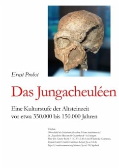 Das Jungacheuléen - Probst, Ernst