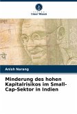 Minderung des hohen Kapitalrisikos im Small-Cap-Sektor in Indien
