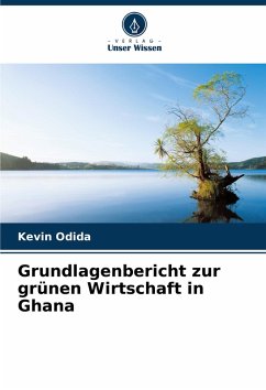 Grundlagenbericht zur grünen Wirtschaft in Ghana - Odida, Kevin