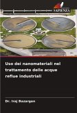Uso dei nanomateriali nel trattamento delle acque reflue industriali