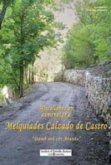 Miscellanèa en autmenatge a Melquiades Calzado de Castro Miscellanèa en autmenatge a Melquiades Calzado de Castro