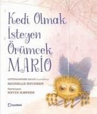 Kedi Olmak Isteyen Örümcek Mario Kedi Olmak Isteyen Örümcek Mario