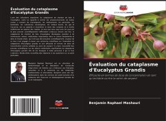 Cover Évaluation du cataplasme d'Eucalyptus Grandis