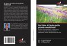 Un libro di testo sulle piante... - Bild 1