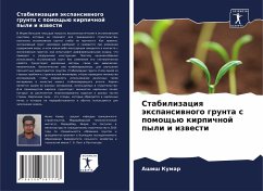 Cover Stabilizaciq äxpansiwnogo grunta s pomosch'ü kirpichnoj pyli i izwesti