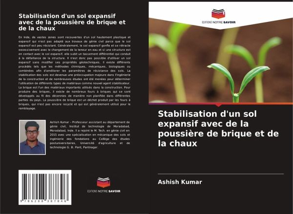 Stabilisation d'un sol expansif avec de la poussière de brique et de la chaux