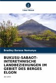 BUKUSU-SABAOT-INTERETHNISCHE LANDBEZIEHUNGEN IM GEBIET DES BERGES ELGON BUKUSU-SABAOT-INTERETHNISCHE LANDBEZIEHUNGEN IM GEBIET DES BERGES ELGON