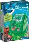 Galileo Mini-Gewächshaus Galileo Mini-Gewächshaus