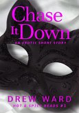 Chase It Down (Hot and Spicy Reads, #1) (eBook, ePUB)