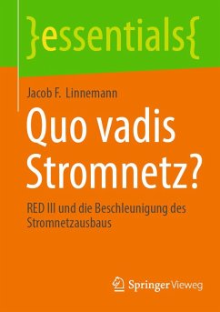 Quo vadis Stromnetz? (eBook, PDF) - Linnemann, Jacob F.