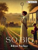 So Big (eBook, ePUB)