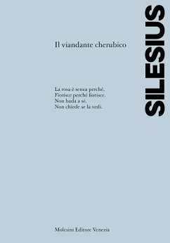 Cover Il viandante cherubico