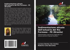 Cover Sedimentazione attuale dell'estuario del Rio Formoso - PE (Brasile)