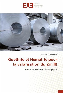 Cover Goethite et Hématite pour la valorisation du Zn (II)