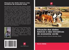 Situação dos dados básicos e das iniciativas de economia verde - Odida, Kevin