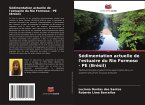 Sédimentation actuelle de l'estuaire du Rio Formoso - PE (Brésil) Sédimentation actuelle de l'estuaire du Rio Formoso - PE (Brésil)