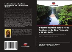 Cover Sédimentation actuelle de l'estuaire du Rio Formoso - PE (Brésil)