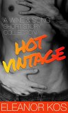 Hot Vintage: A Wine & Song Short Story Collection (eBook, ePUB)