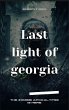 Last Light Of Georgia (eBook, ePUB) - Bild 1