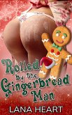 Rolled by the Gingerbread Man (Horny for the Holidays, #5) (eBook, ePUB)