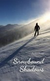 Snowbound Shadows