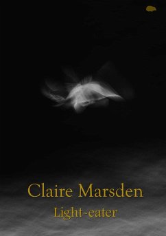 Cover Light-eater