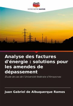 Cover Analyse des factures d'énergie : solutions pour les amendes de dépassement