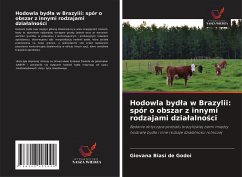 Cover Hodowla byd¿a w Brazylii: spór o obszar z innymi rodzajami dzia¿alno¿ci