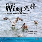 On the Wing ¿¿ - North American Birds 7