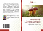 Les champignons forestiers ralentissent le réchauffement climatique Les champignons forestiers ralentissent le réchauffement climatique