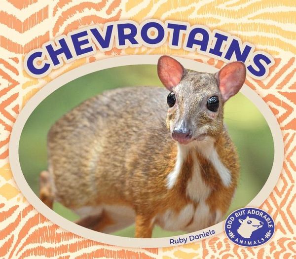 Chevrotains Chevrotains