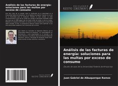 Cover Análisis de las facturas de energía: soluciones para las multas por exceso de consumo