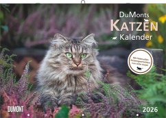 Cover DUMONTS Katzenkalender 2026 - Broschürenkalender - Wandkalender - mit Schulferienterminen - Format 42 x 29 cm