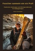 Fossilien sammeln wie ein Profi Fossilien sammeln wie ein Profi