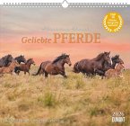 Geliebte Pferde 2026 - DUMONT-Wandkalender - Pferdefotografie von Christiane Slawik Format - 38,0 x 35,5 cm