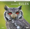 Geliebte Eulen 2026 - DUMONT... - Bild 1