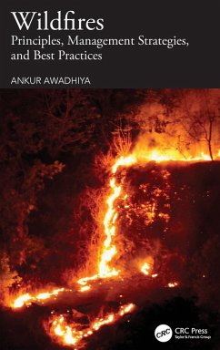 Cover Wildfires