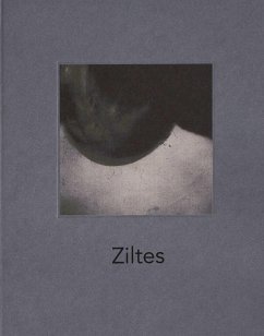 Cover Ziltes