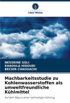 Machbarkeitsstudie zu Kohlenwasserstoffen als umweltfreundliche Kühlmittel - Soli, Nessrine;Hidouri, Khaoula;Chaouachi, Bechir